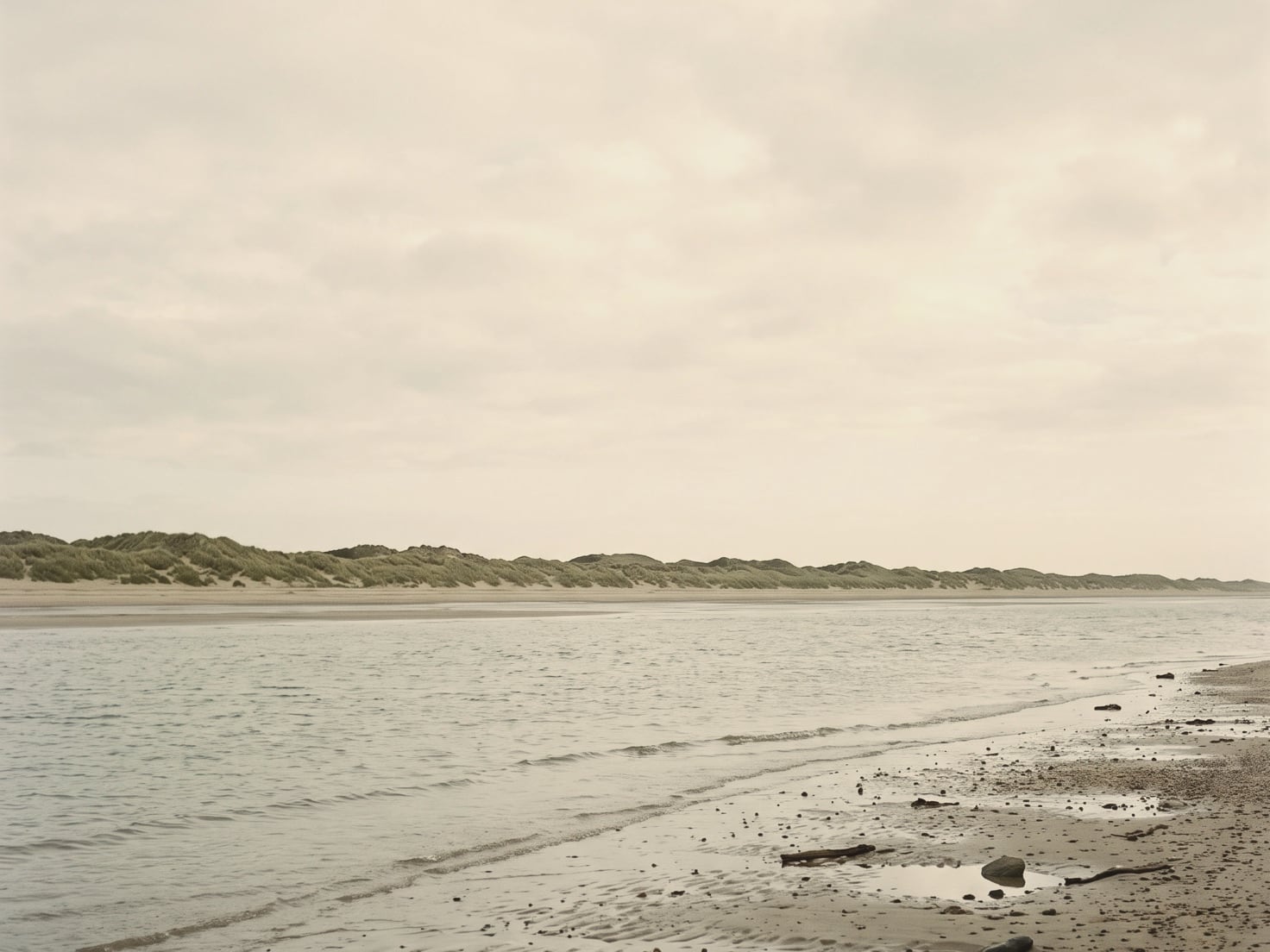 Een geul met kalm grijs water tussen nat strand en een lange rij duinen met helmgras, onder een egaal bewolkte lucht.