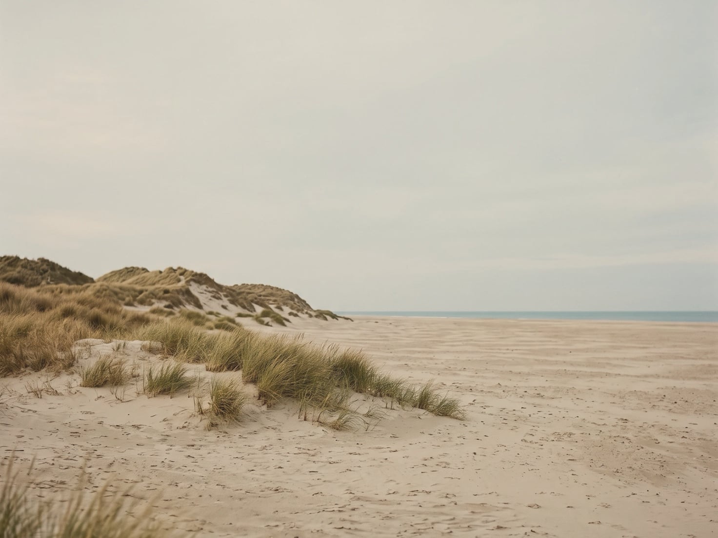 Duinen met helmgras naast een breed, leeg strand, met in de verte een smalle strook zee onder een bleke, grijsblauwe lucht