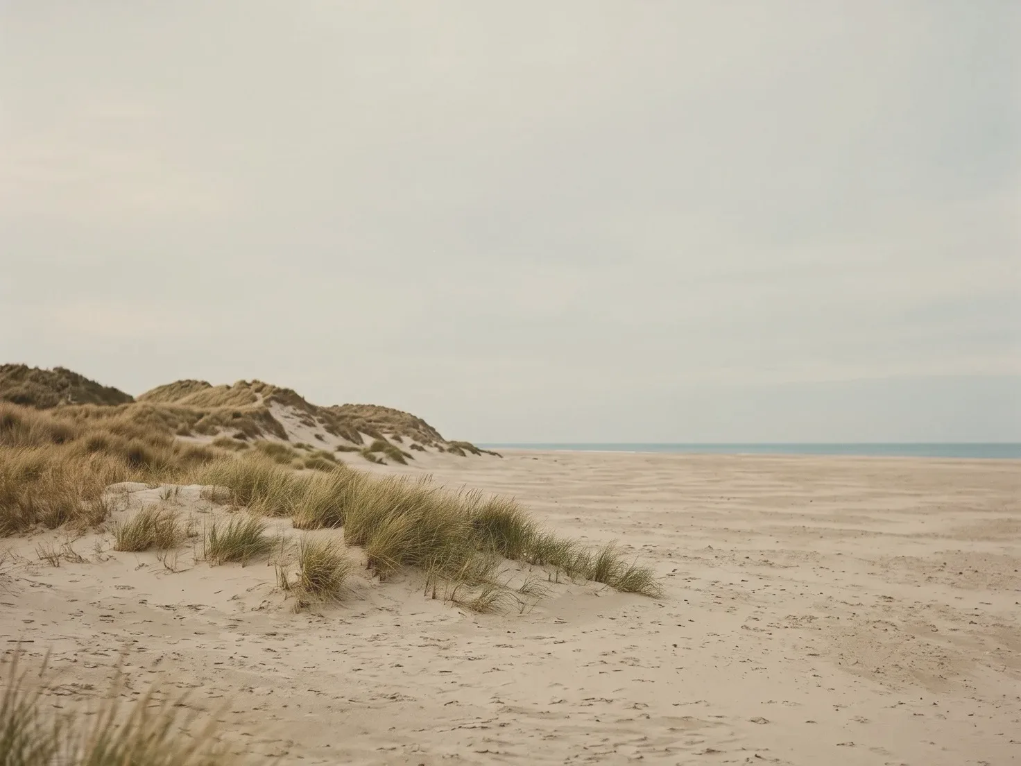 Duinen met helmgras naast een breed, leeg strand, met in de verte een smalle strook zee onder een bleke, grijsblauwe lucht