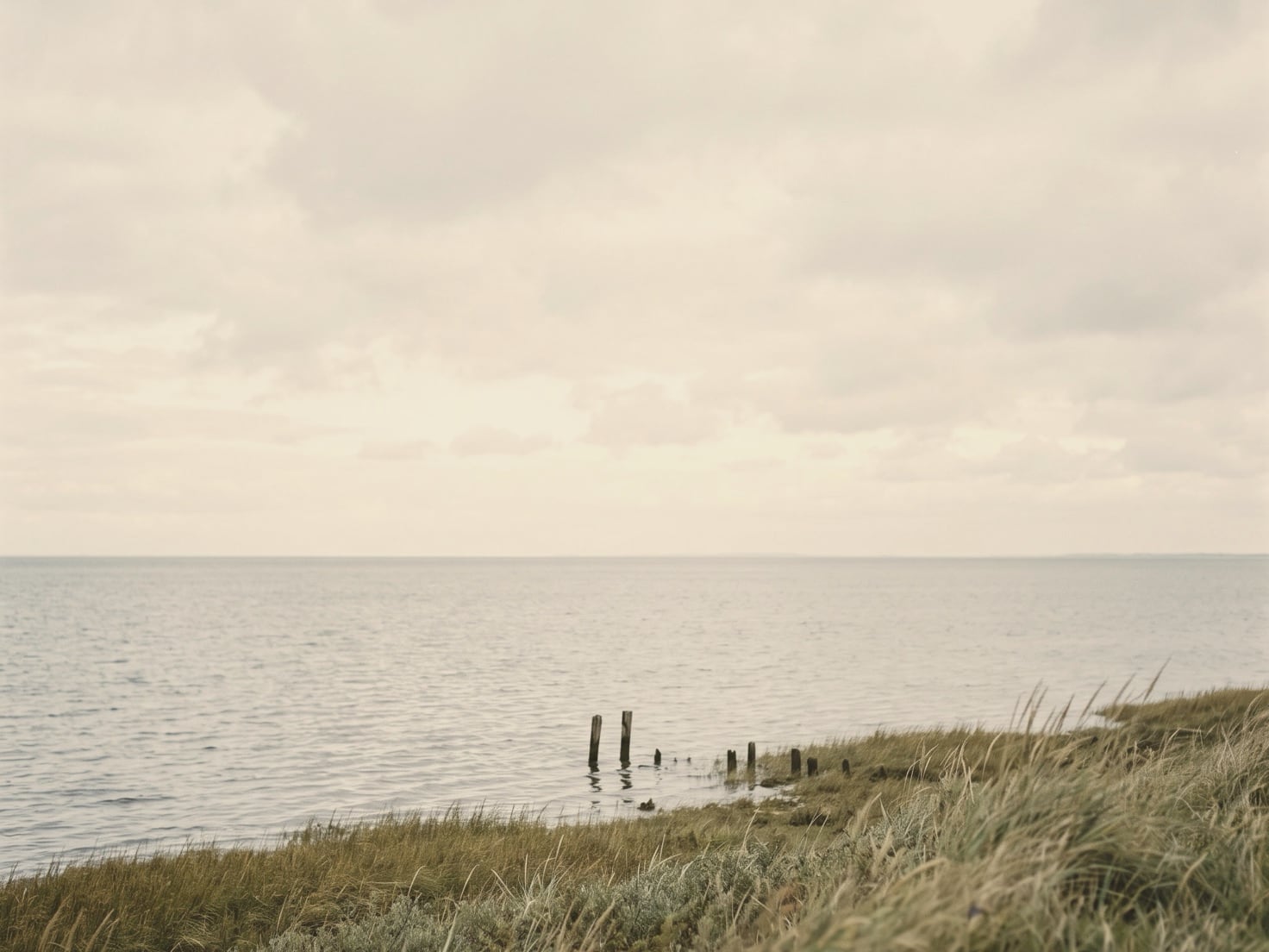 Kalm grijs water onder een bewolkte lucht, gezien vanaf een glooiende oever met wuivend gras, met een rij oude houten paaltjes in het water.