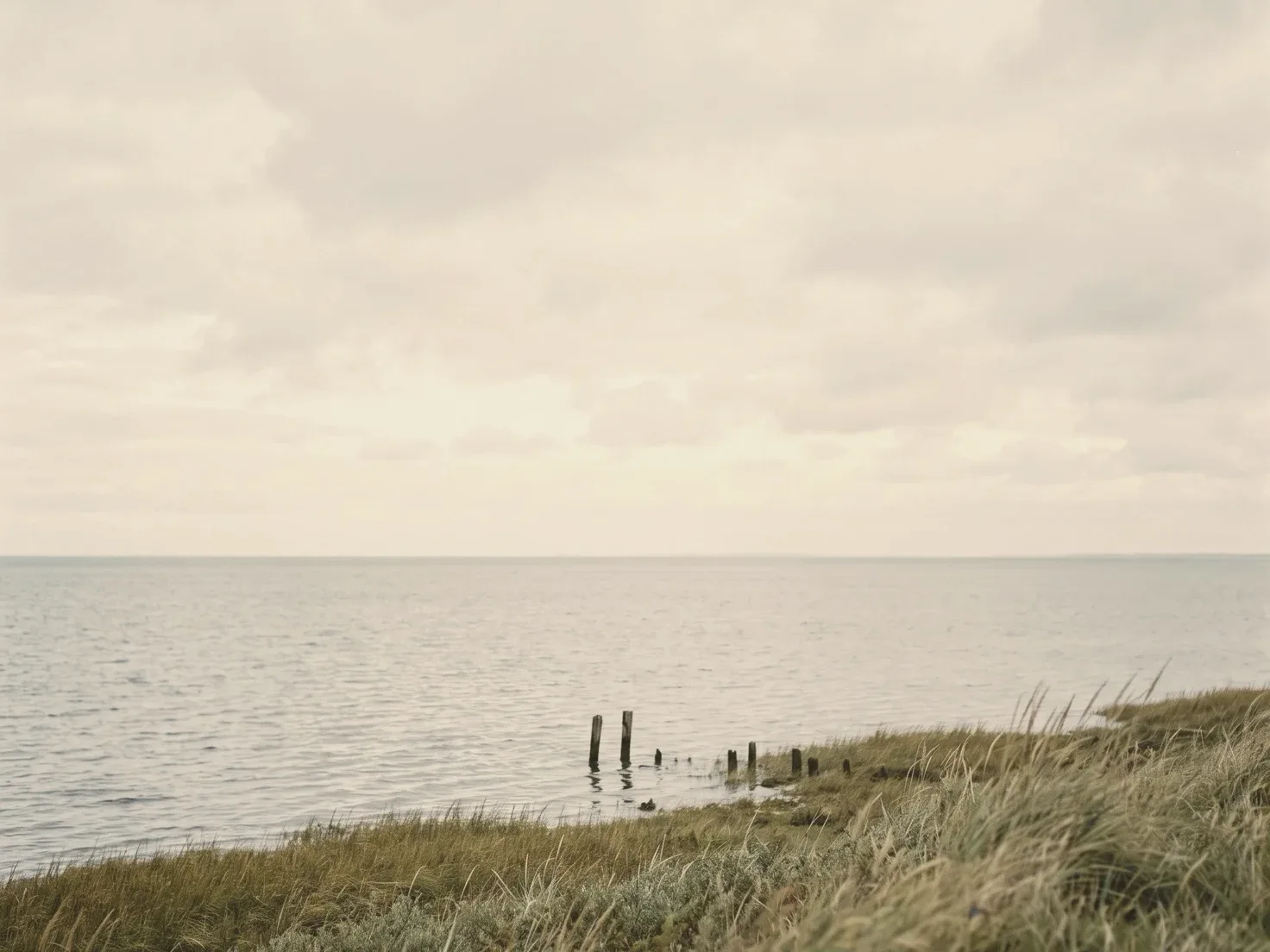 Kalm grijs water onder een bewolkte lucht, gezien vanaf een glooiende oever met wuivend gras, met een rij oude houten paaltjes in het water.