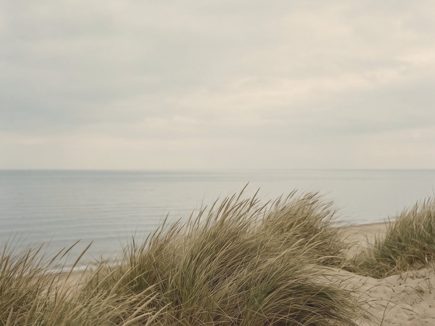 Helmgras op een lage duin met zand, daarachter een kalme zee en een smalle strook strand, onder een wijde grijsblauwe bewolkte lucht