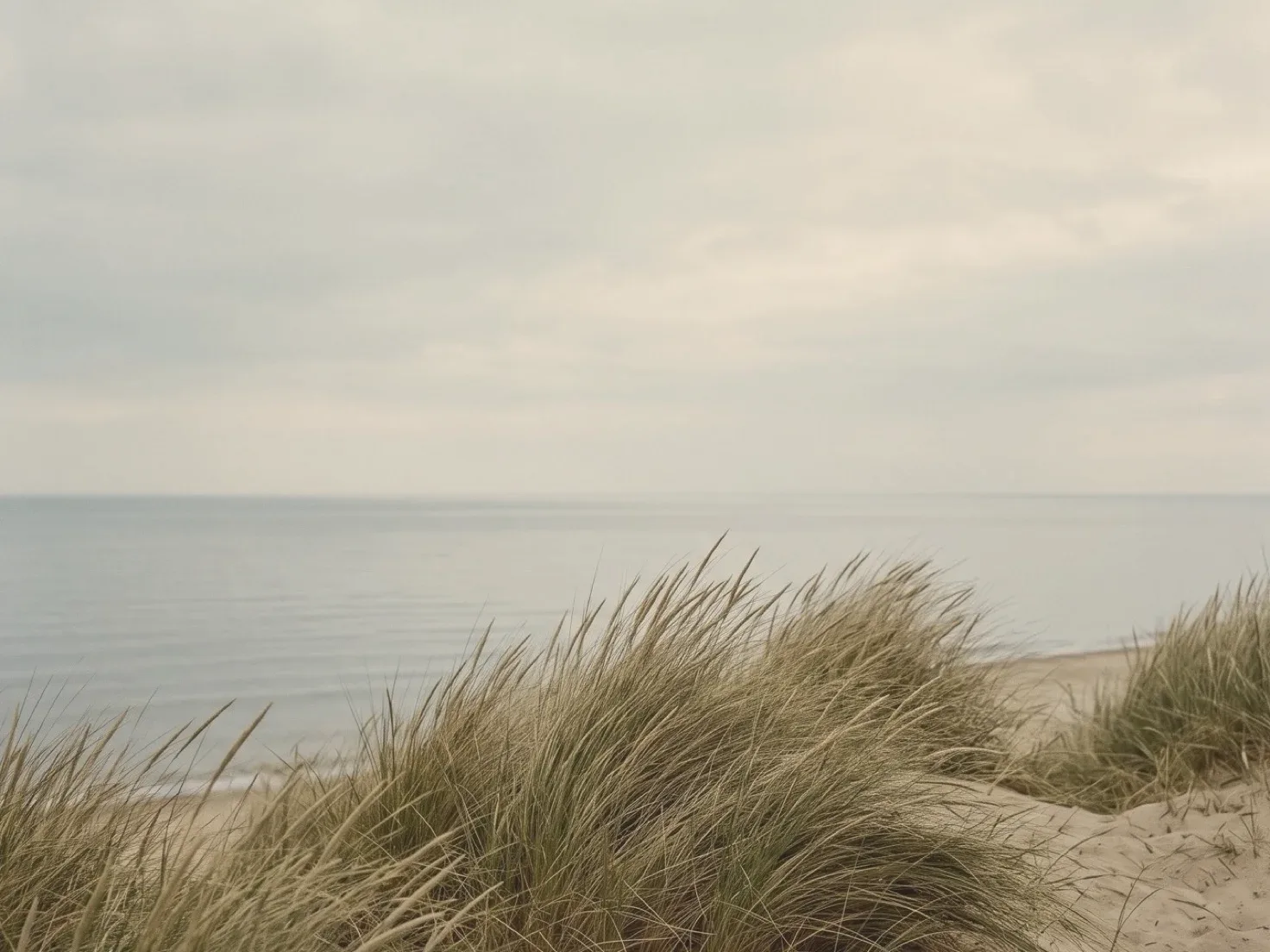 Helmgras op een lage duin met zand, daarachter een kalme zee en een smalle strook strand, onder een wijde grijsblauwe bewolkte lucht