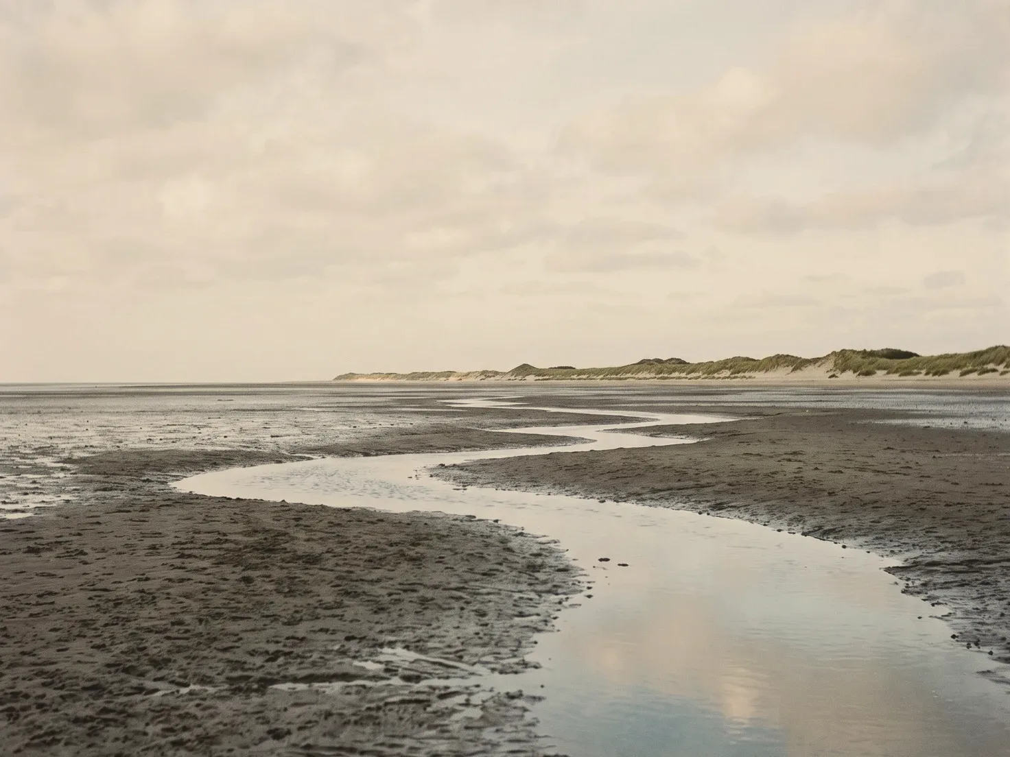 Nat wad bij laagwater met ondiepe geulen die een bleke lucht weerspiegelen, met ver weg een lage lijn van duinen